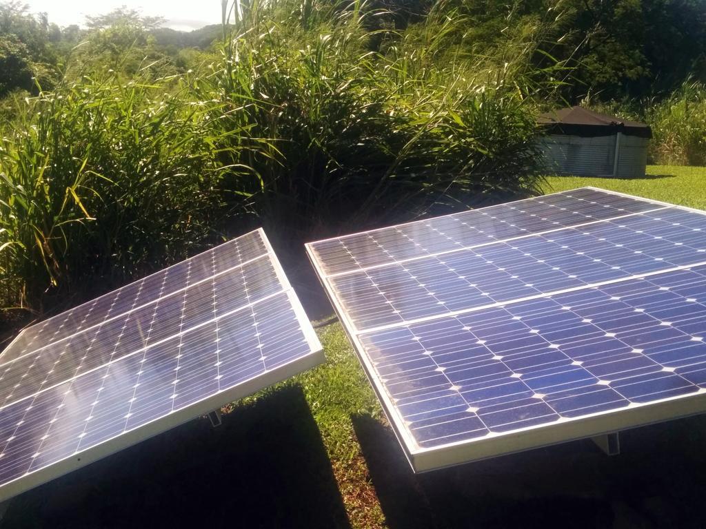 Hamakua Guesthouse Pepeekeo Bagian luar foto