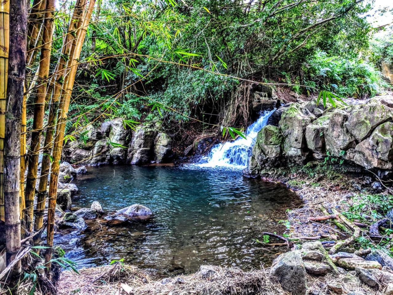 Hamakua Guesthouse Pepeekeo Bagian luar foto